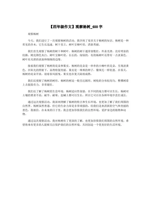 【四年级作文】观察杨树_400字