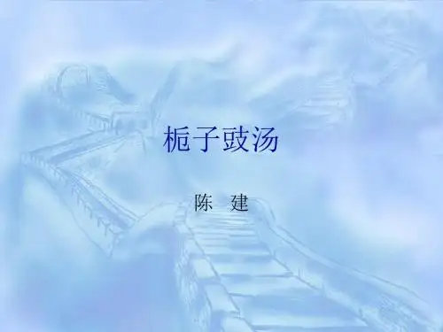 栀子豉汤
