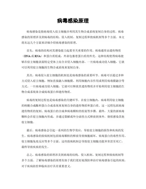 病毒感染原理