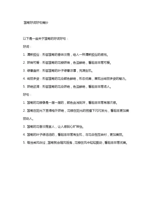 雏菊好词好句摘抄