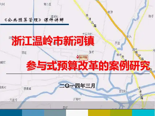 温岭市新河镇参与式预算汇总