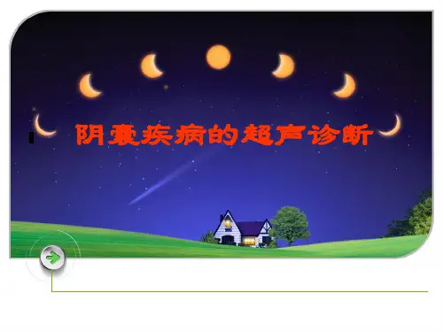阴囊疾病的超声诊断