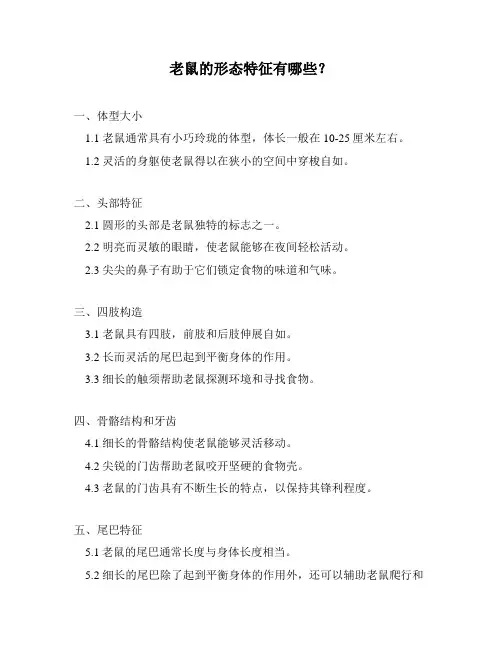 老鼠的形态特征有哪些？