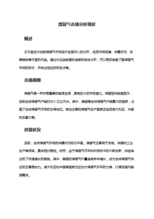 2024年煤层气市场分析现状