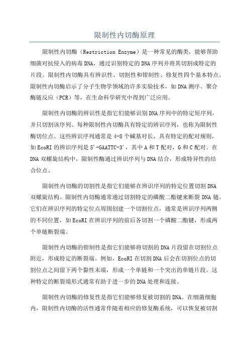 限制性内切酶原理