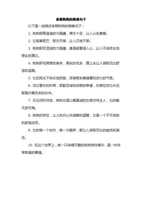 呆萌狗狗的唯美句子
