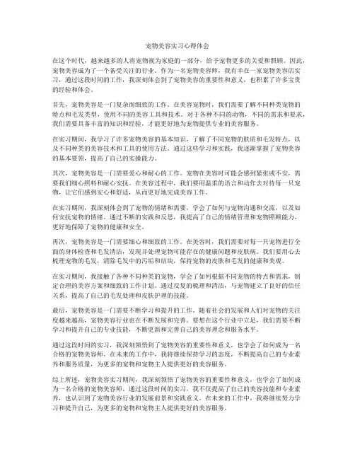 宠物美容实习心得体会