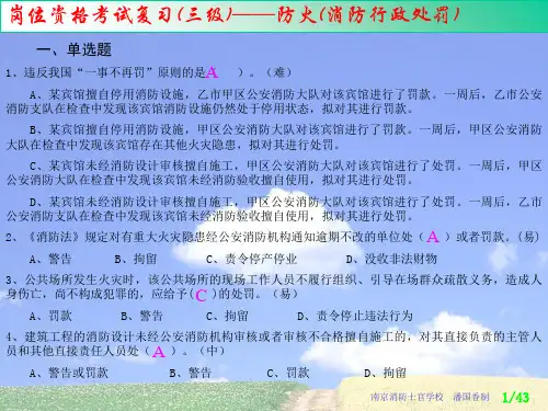 消防行政处罚(ppt 43页)