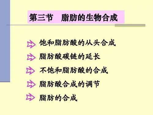 脂肪代谢合成