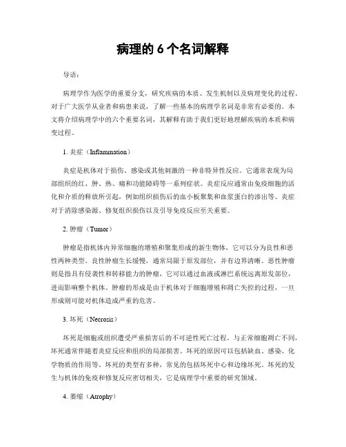 病理的6个名词解释