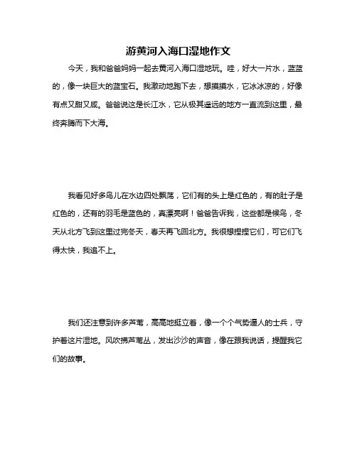 游黄河入海口湿地作文