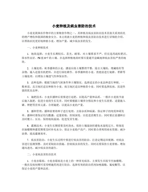 小麦种植及病虫害防治技术