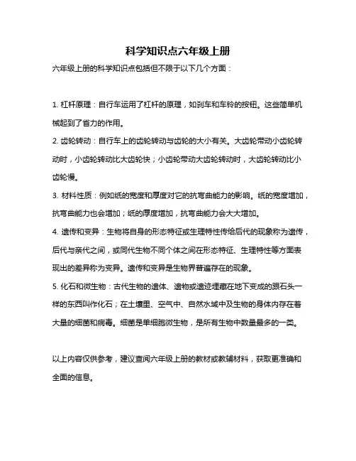 科学知识点六年级上册
