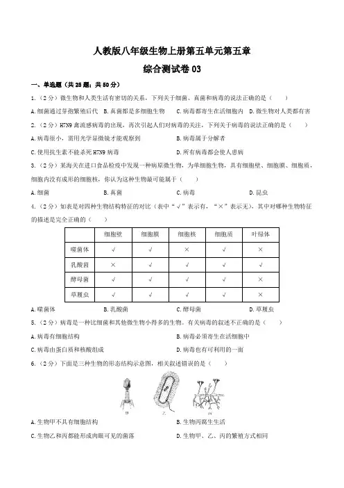 人教版八年级生物上册第五单元第五章《病毒》综合测试卷03含答案