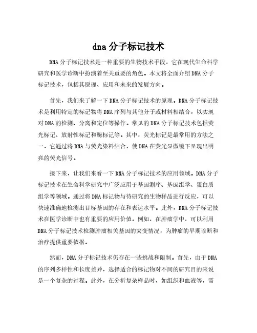dna分子标记技术