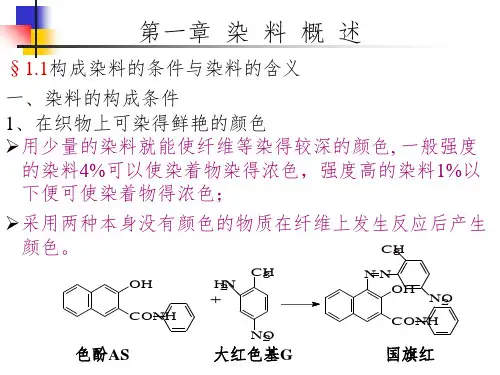 染料PPT课件