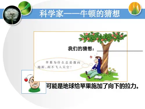 1_猜想与假设_教学课件