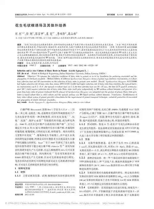 花生毛状根诱导及其体外培养_刘杰