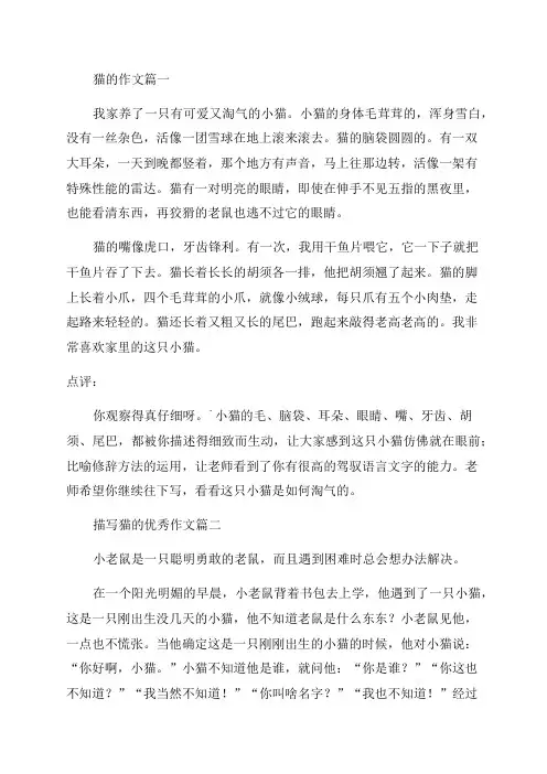 可爱的小猫四年级作文400字(精彩5篇)