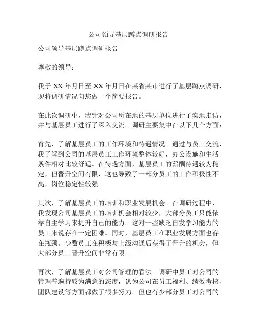 公司领导基层蹲点调研报告