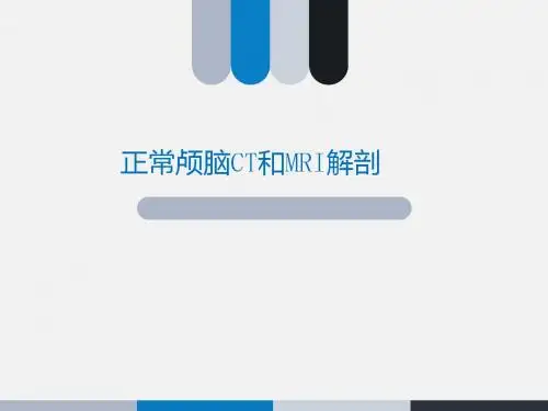 中枢神经系统解剖  ppt课件