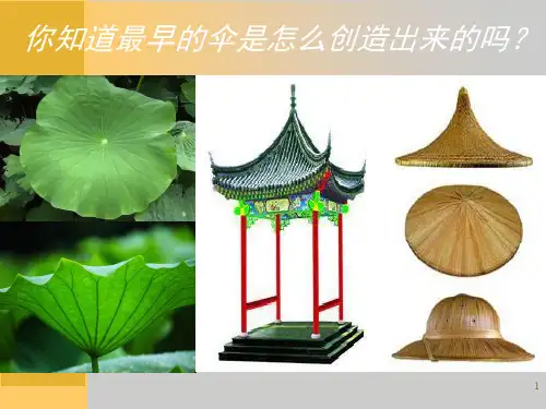 初中美术伞的设计课堂PPT