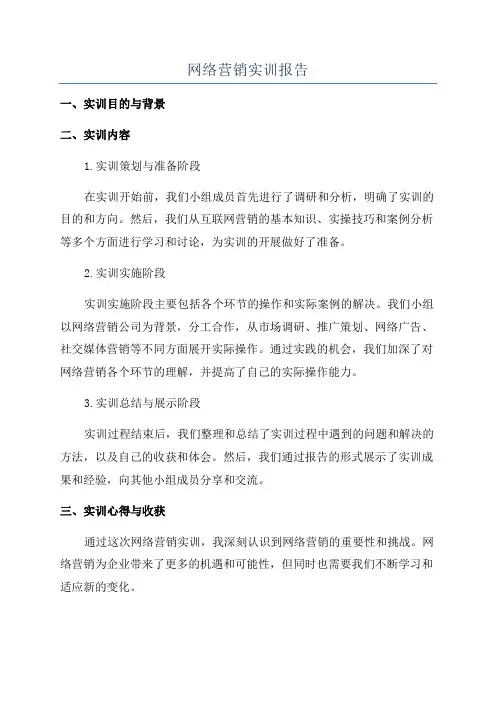 网络营销实训报告