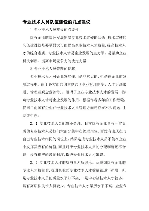 专业技术人员队伍建设的几点建议-文档资料