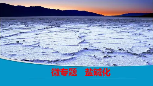 2020届高考地理二轮微专题盐碱化课件(共59张PPT)