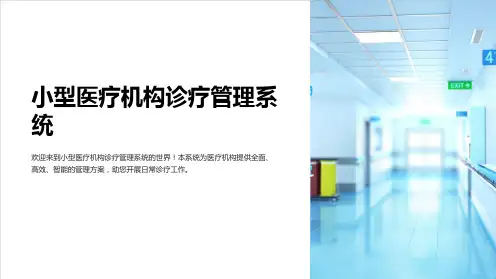 小型医疗机构诊疗管理系统