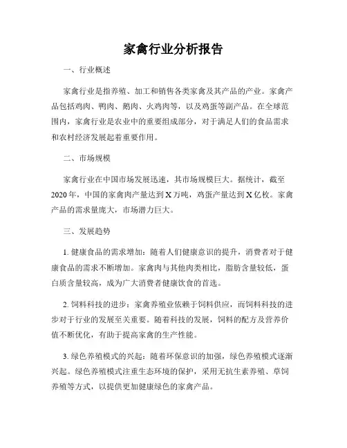 家禽行业分析报告