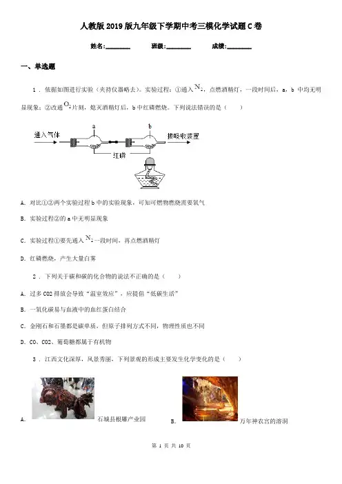 人教版2019版九年级下学期中考三模化学试题C卷