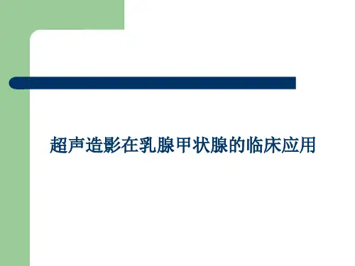 超声造影在乳腺甲状腺的临床应用-PPT精品课件