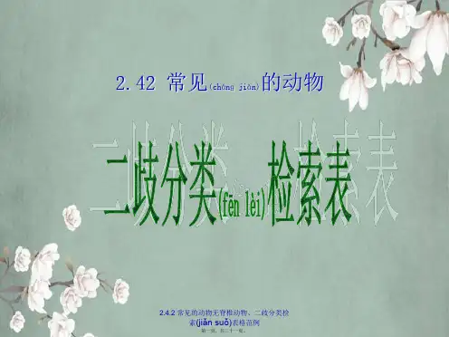 2.4.2 常见的动物无脊椎动物、二歧分类检索表格范例(共21张PPT)