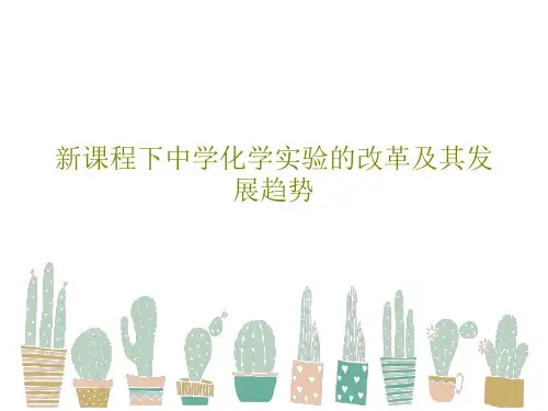 新课程下中学化学实验的改革及其发展趋势30页PPT