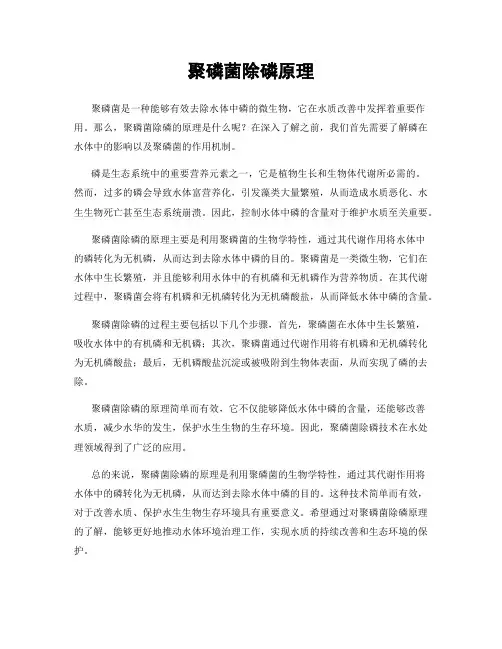 聚磷菌除磷原理
