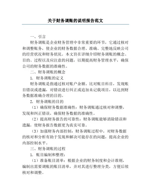 关于财务调账的说明报告范文
