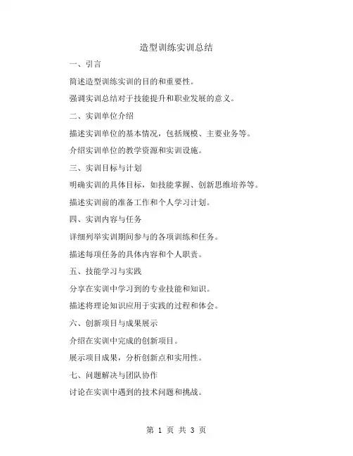 造型训练实训总结