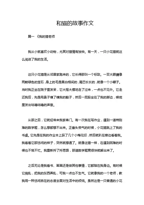 和猫的故事作文