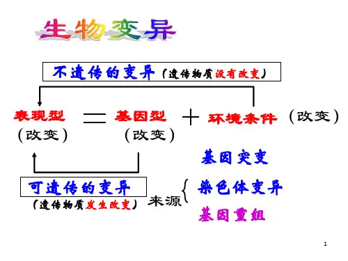 《变异与育种专题》PPT课件