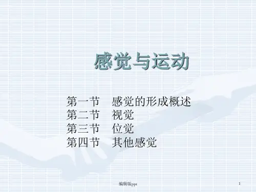 感觉与运动ppt课件