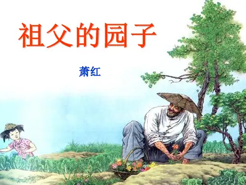 五年级语文下册课件3.祖父的园子_人教部编版(共19张PPT)