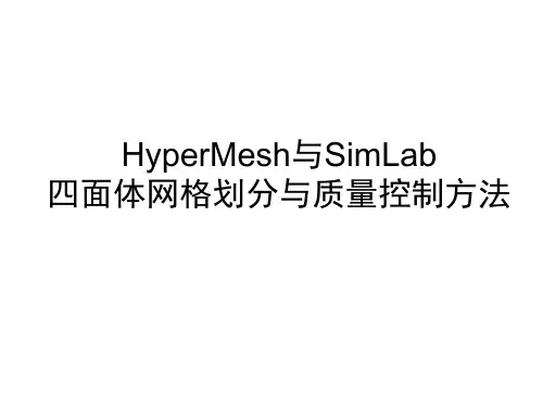 HyperMesh与SimLab四面体网格划分与质量控制方法
