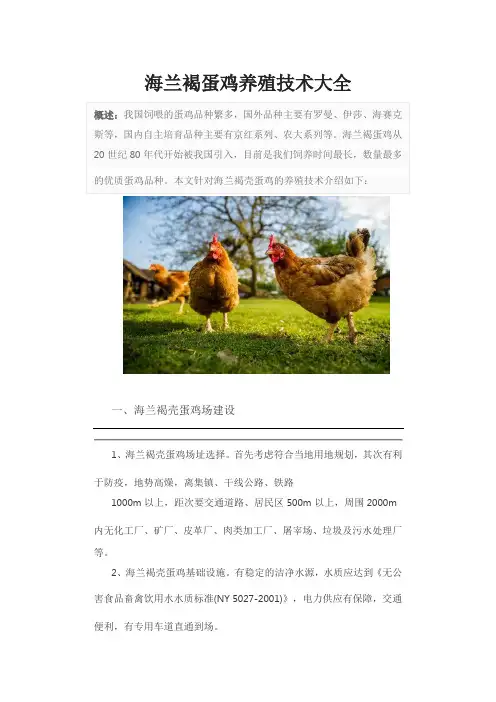 海兰褐蛋鸡养殖技术大全