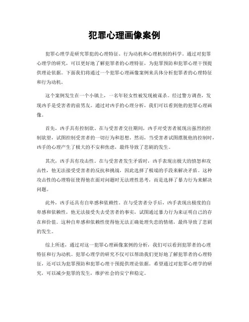 犯罪心理画像案例