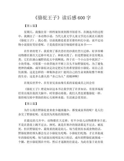《骆驼王子》读后感600字