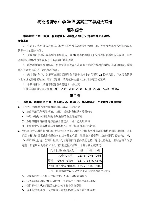 河北省衡水中学2019届高三下学期大联考(理综)