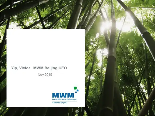 Victor-MWM曼海姆燃气内燃机在分布式能源领域的技术与应用 33页PPT文档