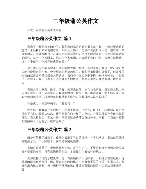 三年级蒲公英作文