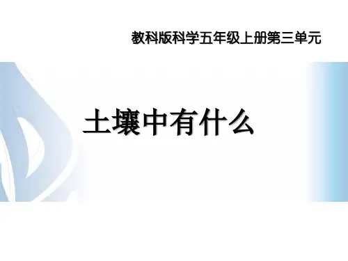 五年级科学课件-3.4土壤里有什么 教科版(共17张PPT)